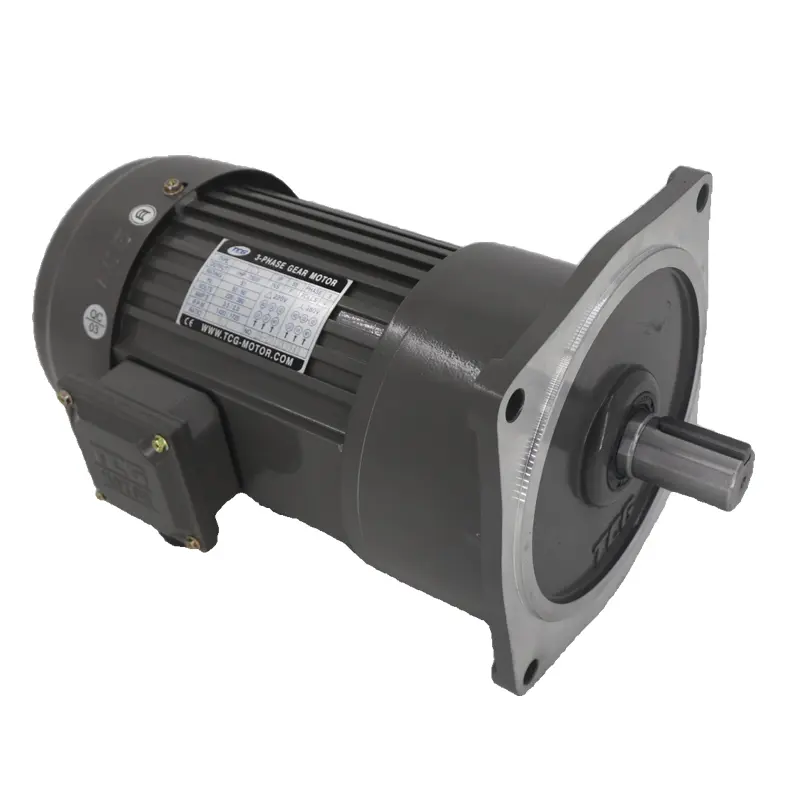 Precauzioni per l'installazione e la manutenzione del TCG (Tai Chuang Gear Motor).