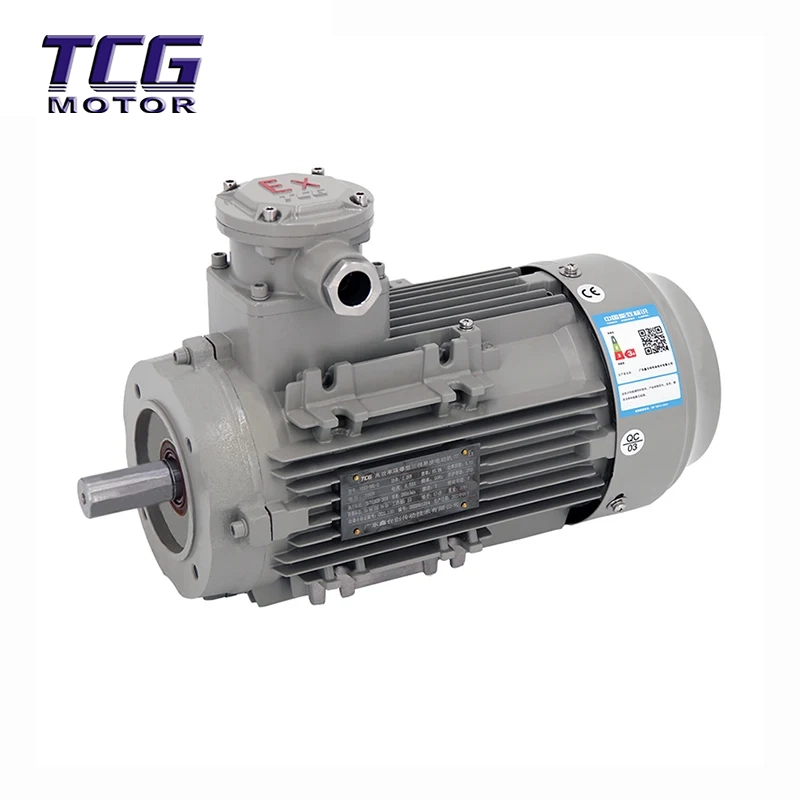 Motore antideflagrante Ex d IIC T4 Flangia piccola B14