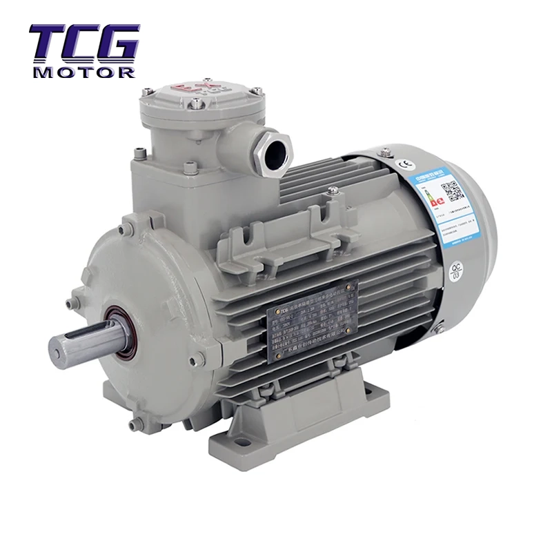 Motore antideflagrante Ex d IIC T4 Montaggio B3