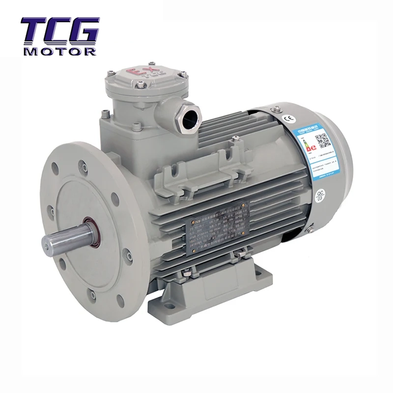 Motore antideflagrante Ex d IIC T4 B35 Piede