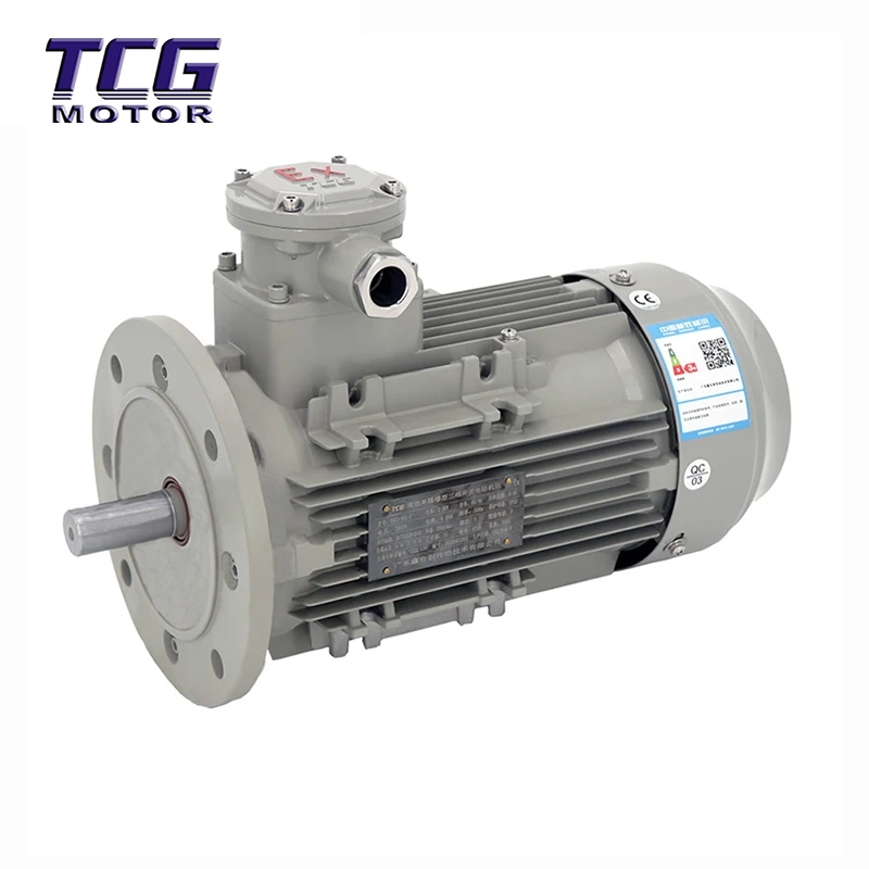 Motore antideflagrante Ex d IIC T4 B5 montato su flangia