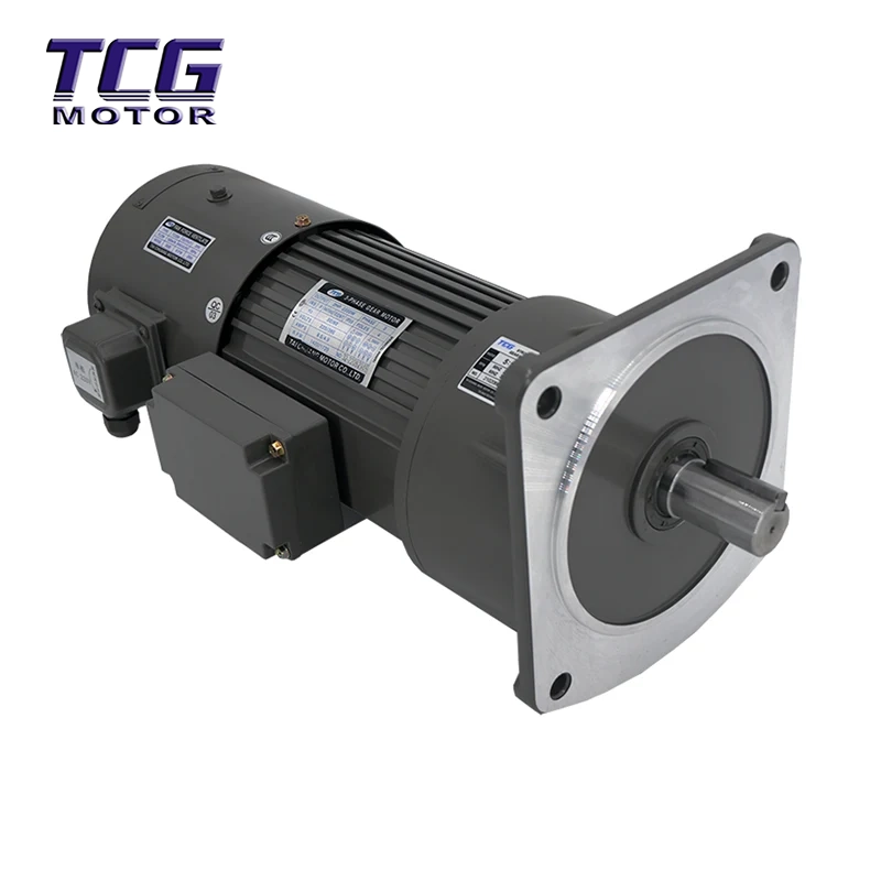 Motoriduttore con freno per servizio inverter verticale TCV